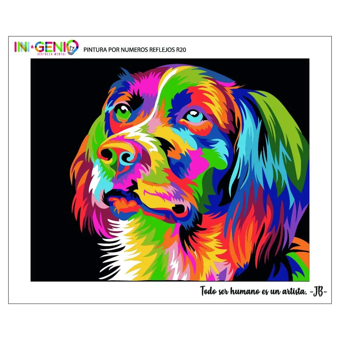 Imagen del producto 11